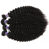 Easy Hair 10A High Quality Indian Virgin Human Hair Kinky Curly Virgin Hair 4 Bundles
