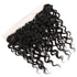 Easy Hair Peruvian Virgin Hair Water Wave Lace Frontal Closure 13X4 Frontal Closure - Easy Hair