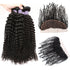 Easy Hair 10A Kinky Curly Malaysian Virgin Hair 4 Bundles With 13x4 Lace Frontal - Easy Hair