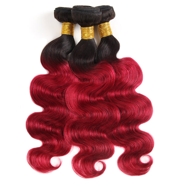 Easy Hair Malaysian T1B/99J Ombre Body Wave Virgin Human Hair Extensions 3 Bundles With 4x4 Lace Closure - Easy Hair