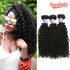 Easy Hair 10A Grade Brazilian Virgin Human Hair Kinky Curly Virgin Hair 3 Bundles - Easy Hair